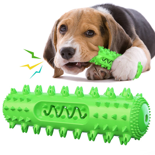 Pet Chew Toothbrush & Dental Ball Toy — Clean Teeth While They Play - ICYSTA
