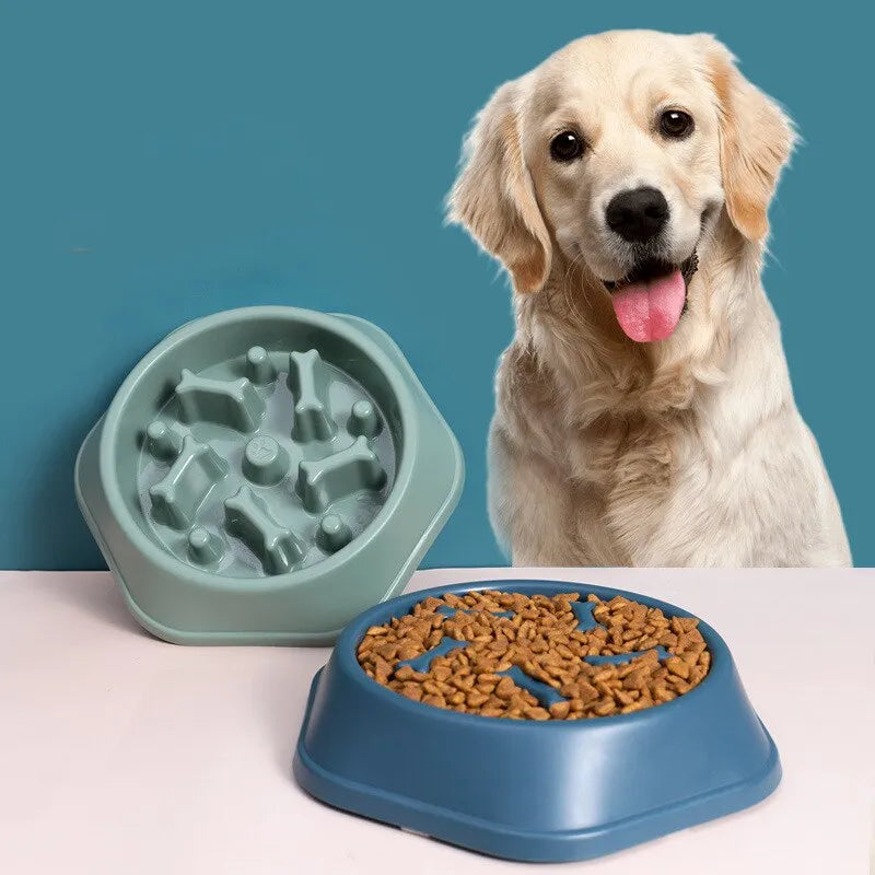 Slow Feeder Bowl for Senior Dogs & Cats — Prevent Bloating & Support Healthy Digestion - ICYSTA