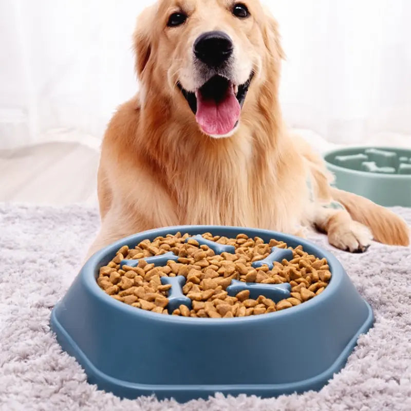 Slow Feeder Bowl for Senior Dogs & Cats — Prevent Bloating & Support Healthy Digestion - ICYSTA