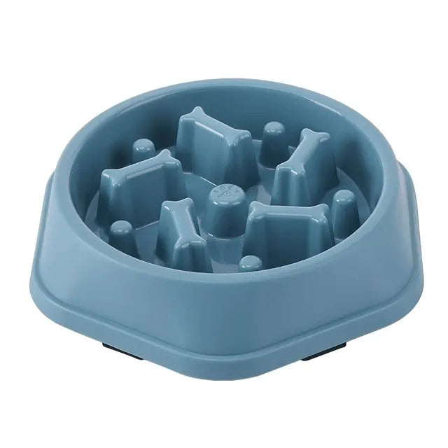 Slow Feeder Bowl for Senior Dogs & Cats — Prevent Bloating & Support Healthy Digestion - ICYSTA