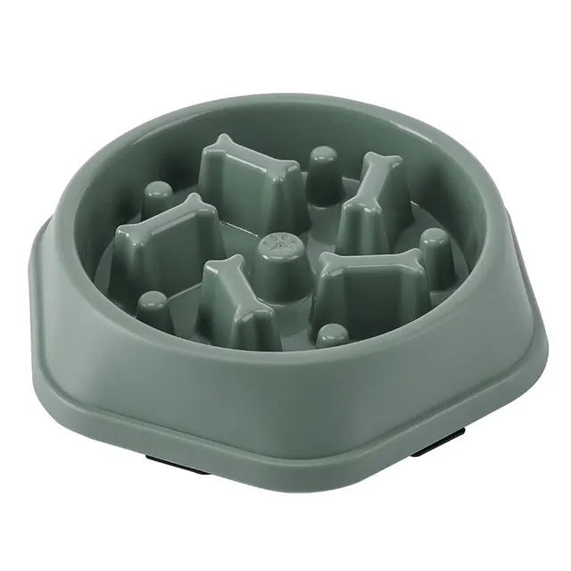 Slow Feeder Bowl for Senior Dogs & Cats — Prevent Bloating & Support Healthy Digestion - ICYSTA