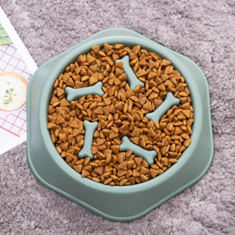 Slow Feeder Bowl for Senior Dogs & Cats — Prevent Bloating & Support Healthy Digestion - ICYSTA