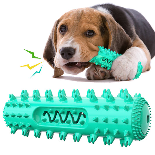 Pet Chew Toothbrush & Dental Ball Toy — Clean Teeth While They Play - ICYSTA