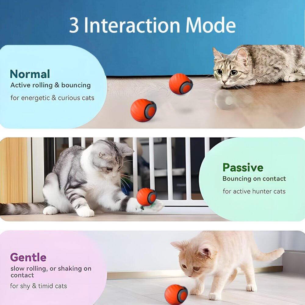 Smart Interactive Cat Ball – Type-C Rechargeable Automatic Cat Toy - Image 6