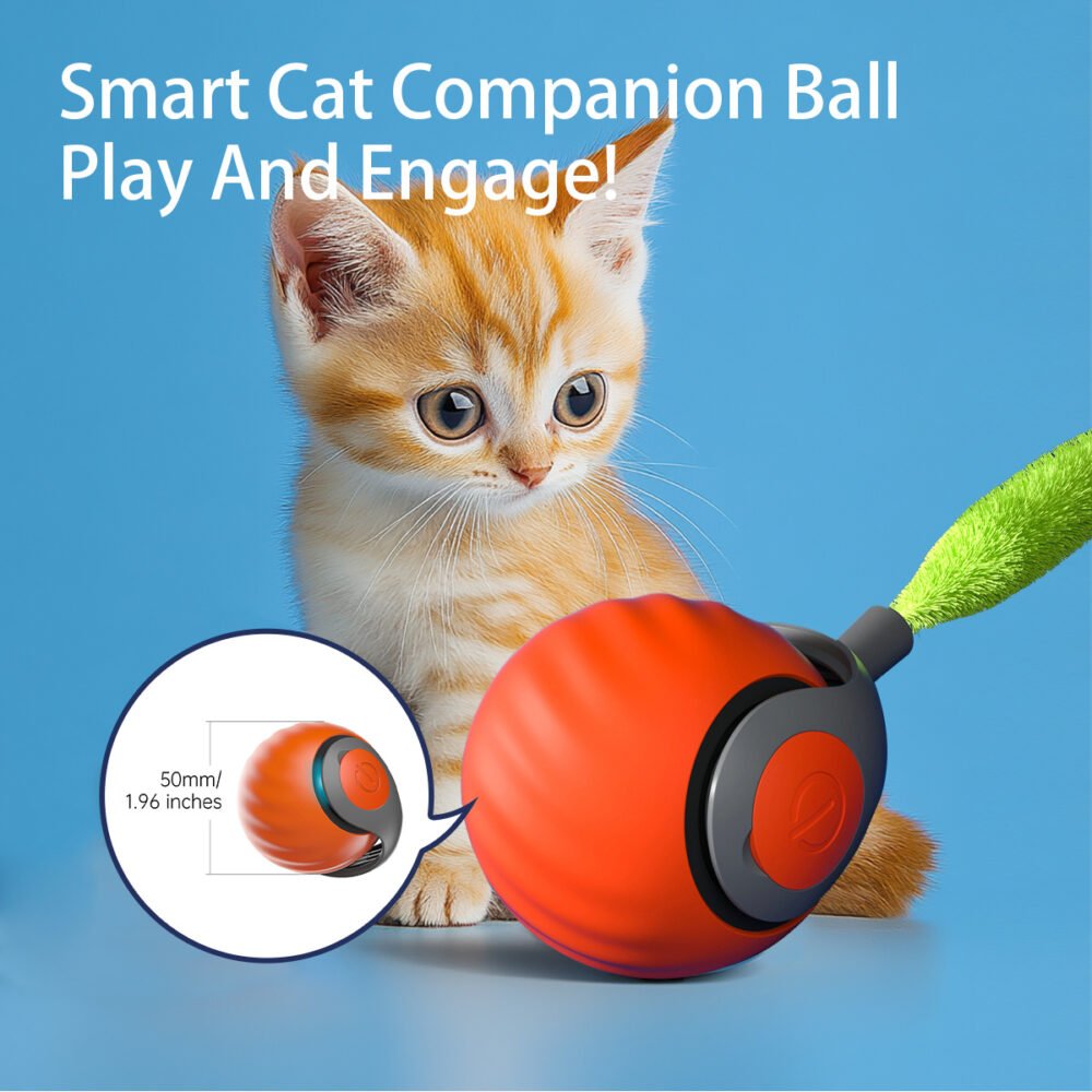 Smart Interactive Cat Ball – Type-C Rechargeable Automatic Cat Toy - Image 5