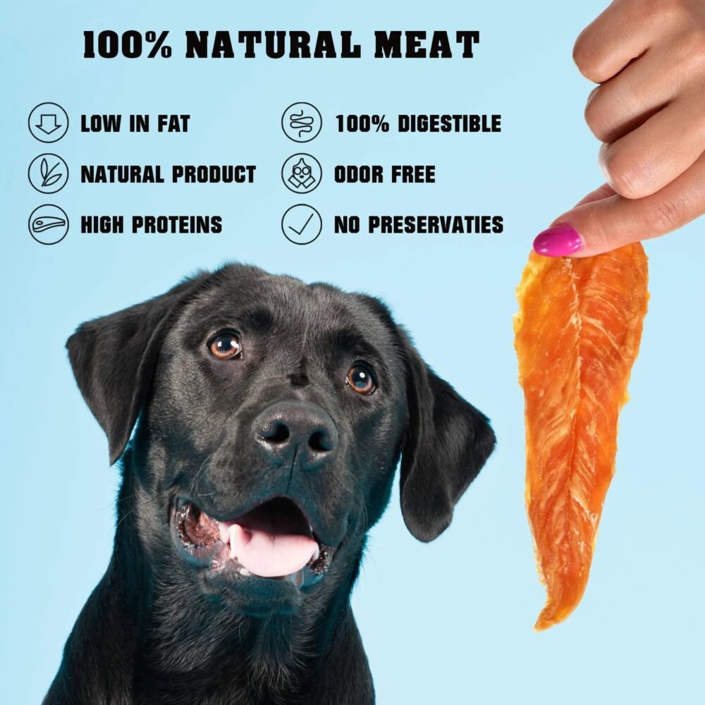 Chicken Jerky Dog Treats – Organic, Grain-Free, High-Protein Chews (1.5 lb) - Image 3