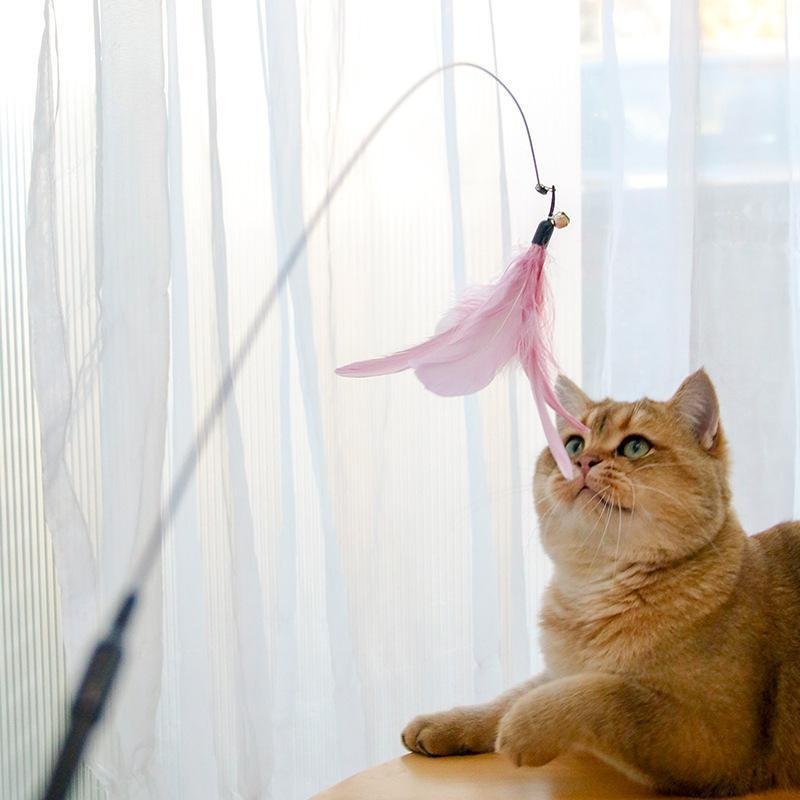 Laser Cat Toy – Retractable Interactive Wand with Safe ABS Material