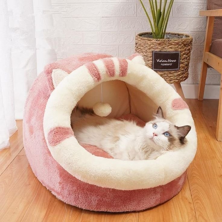 Cat Bed