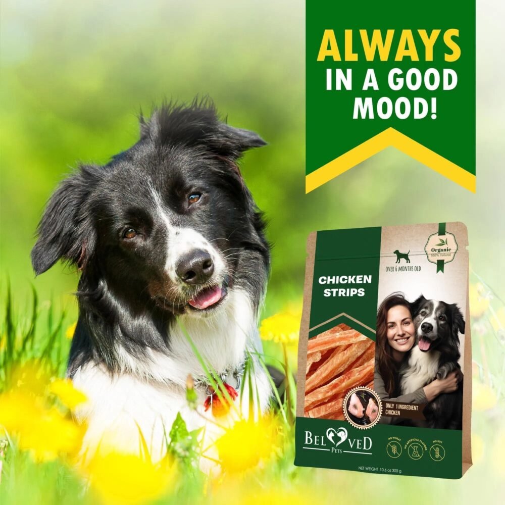 Chicken Strips Dog Treats – Human Grade Grain-Free Meat Sticks 10.6 Oz - Image 6
