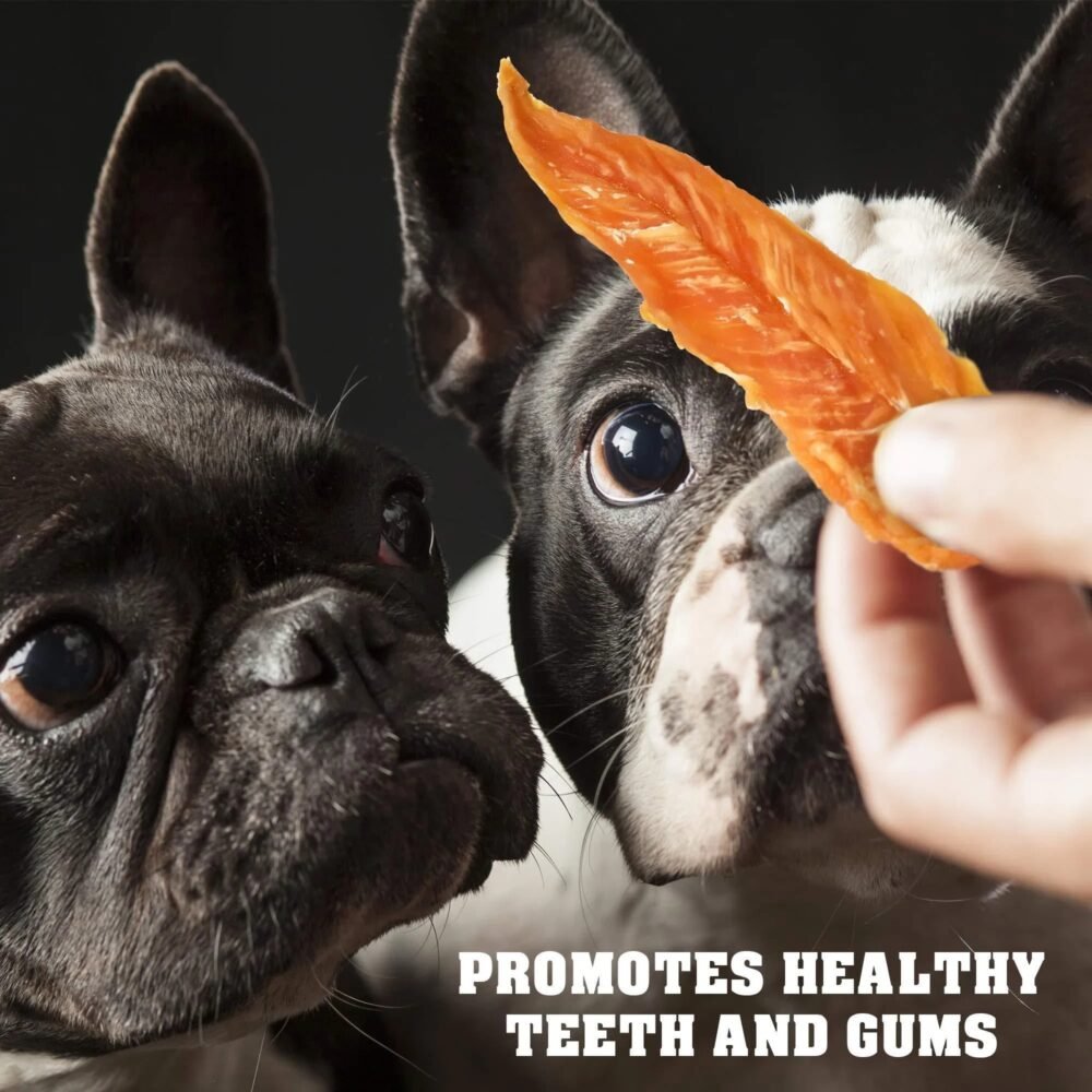 Chicken Jerky Dog Treats – Organic, Grain-Free, High-Protein Chews (1.5 lb) - Image 5