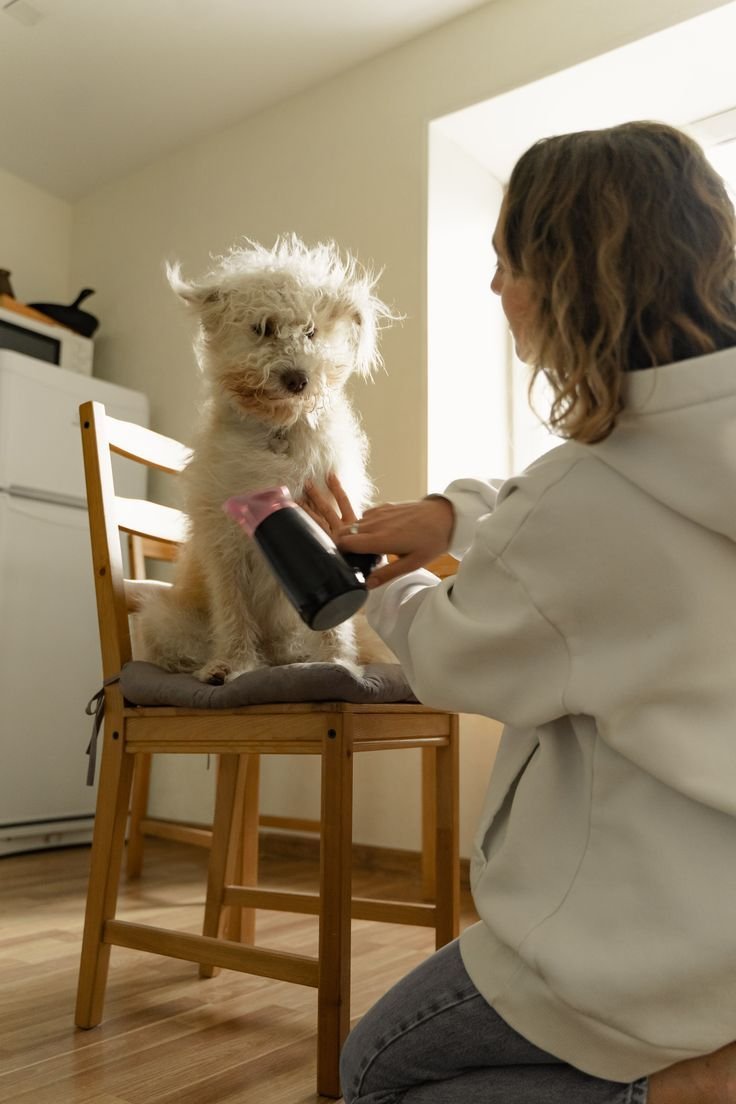 pet grooming