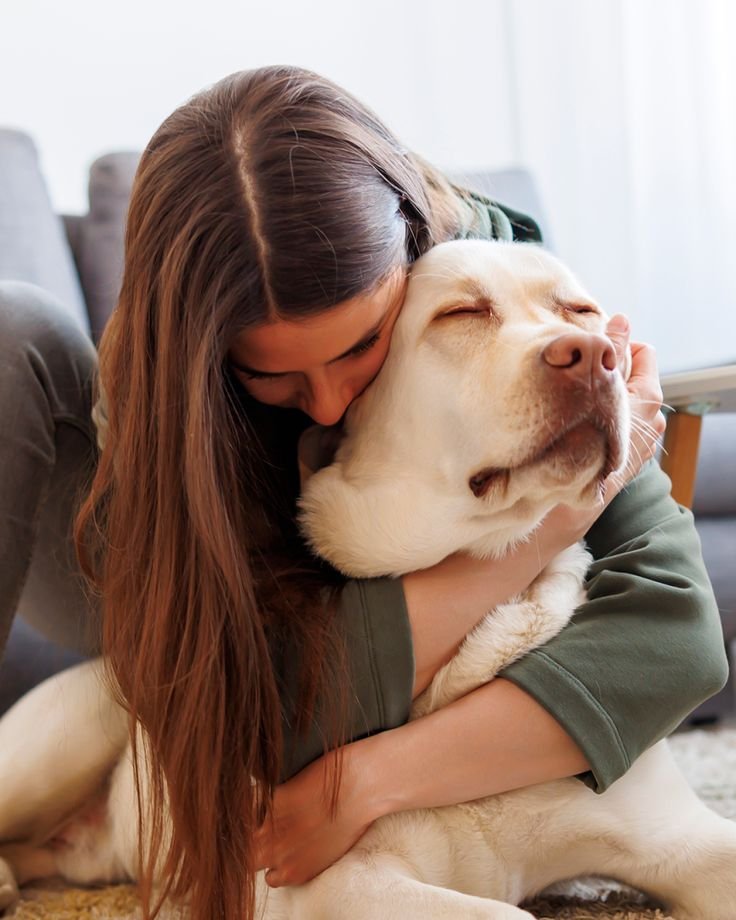 caring for senior pets