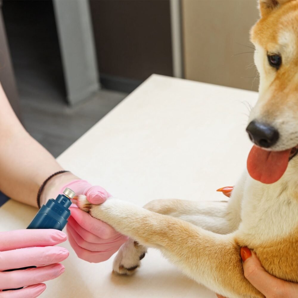 Dog Nail Grinder - Image 5