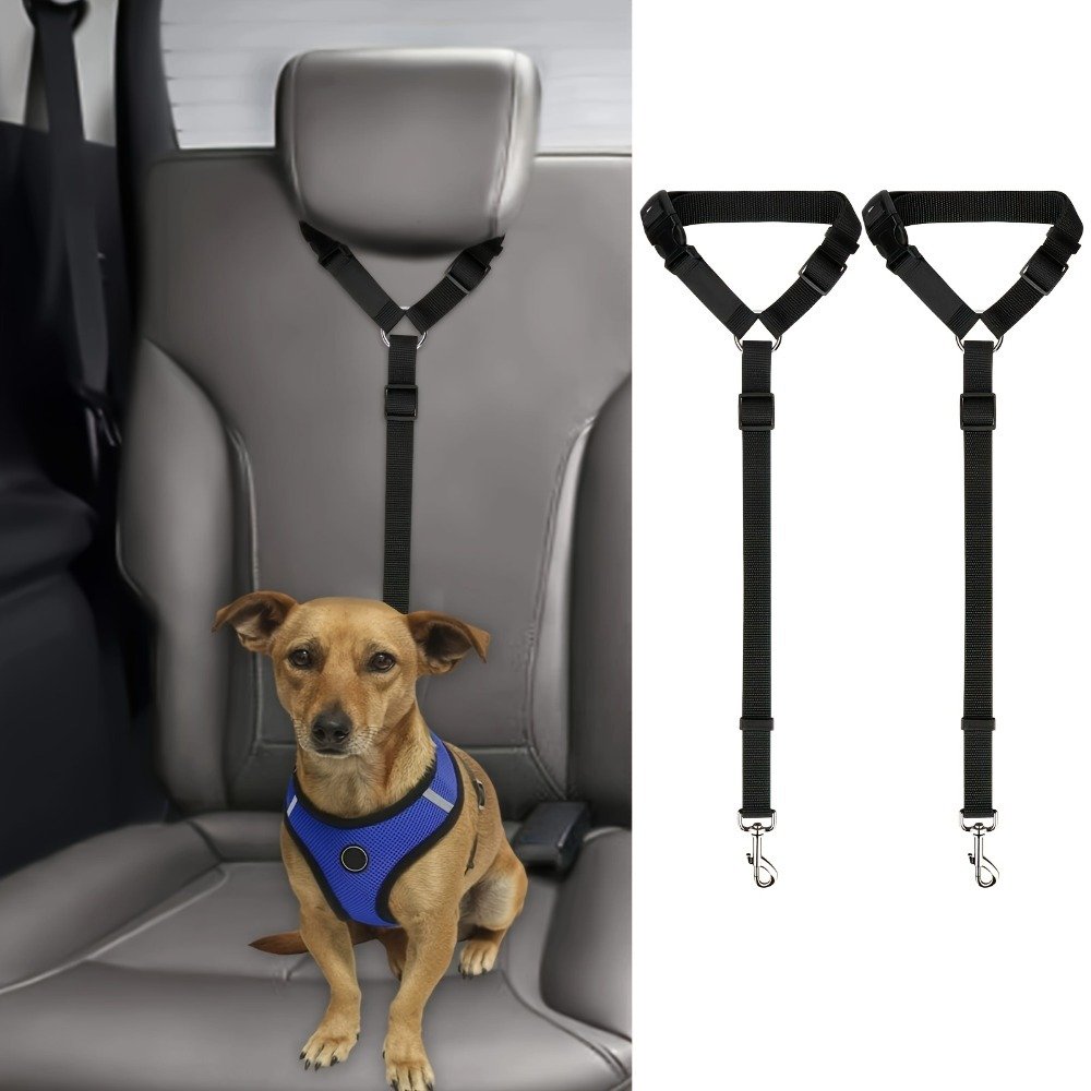 durable dog leash
